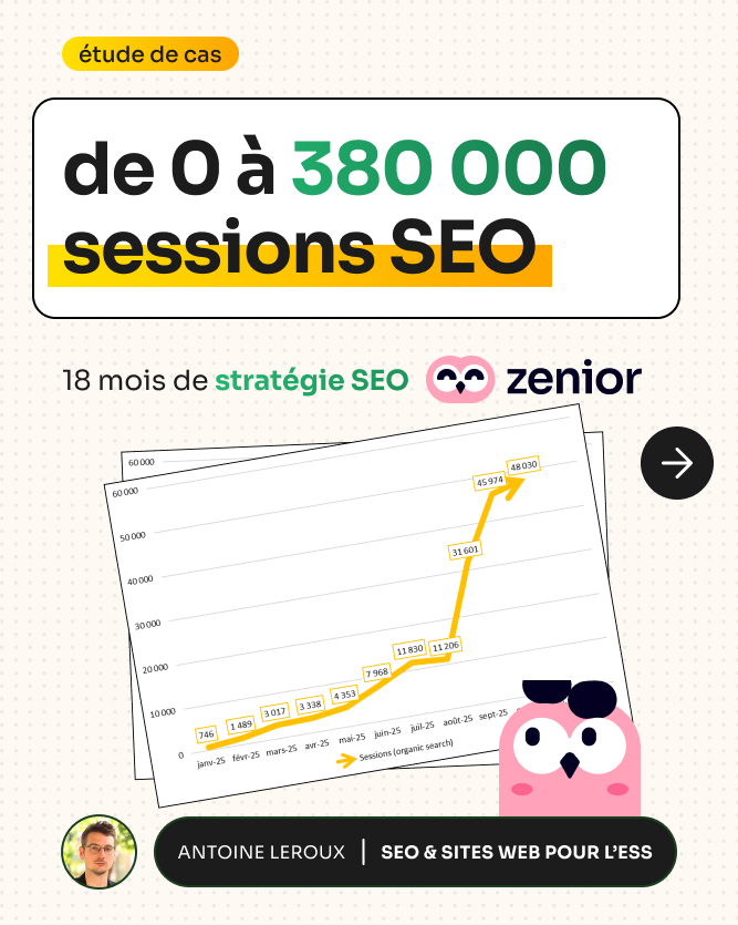 SEO zenior